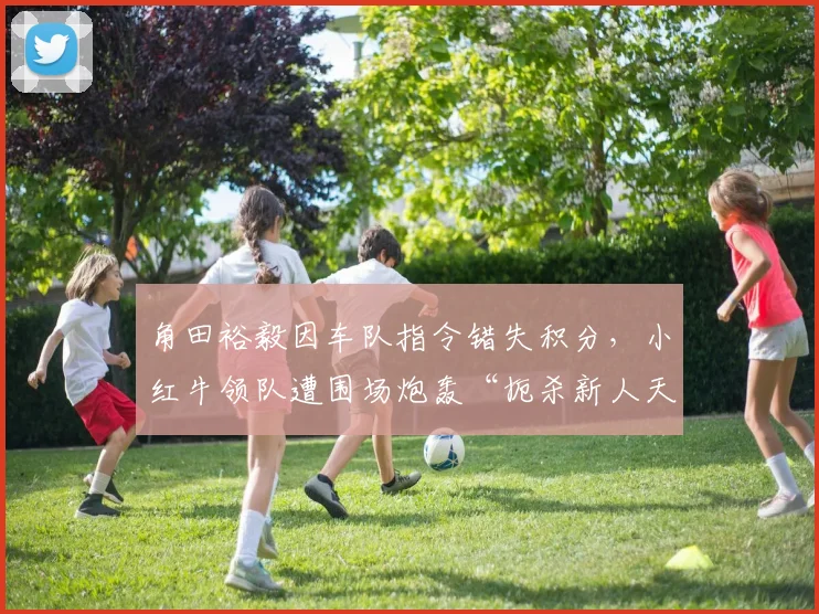 角田裕毅因车队指令错失积分，小红牛领队遭围场炮轰“扼杀新人天赋”